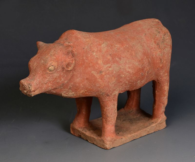Tang Dynasty, Chinese Pottery Standing Cow