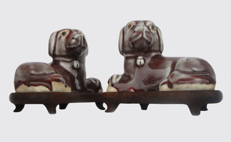 Chinese Figures of Dogs (Pair)