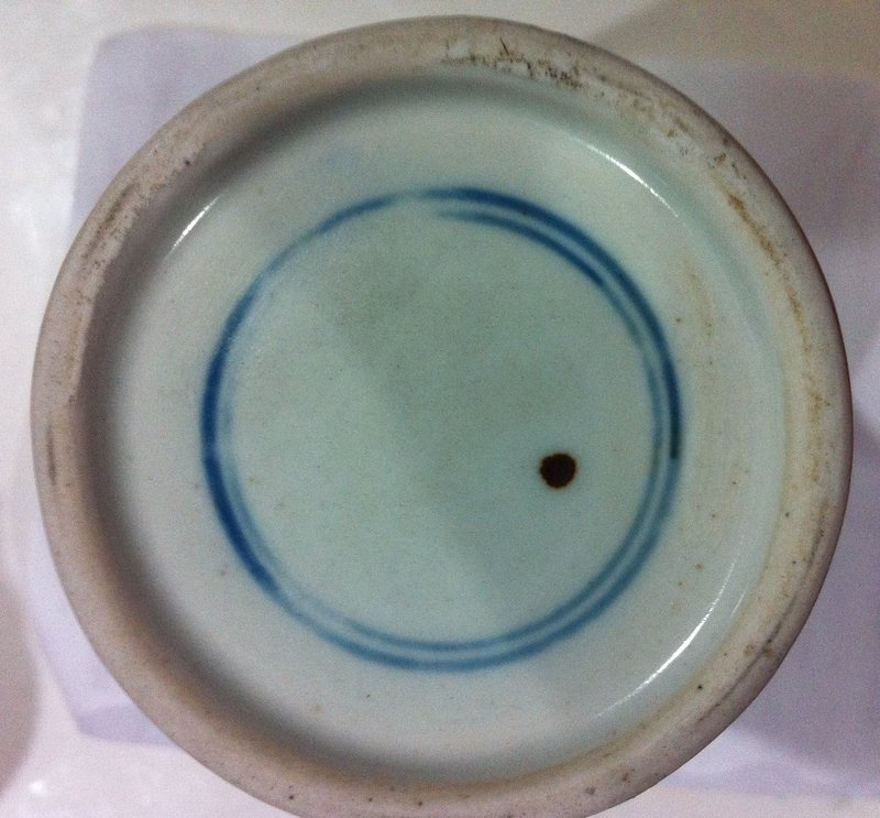 Qing blue and white porcelain peaches &amp; laichi meiping