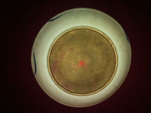 Early Qing fish blue and copper red plate