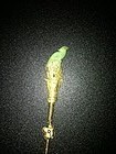 Chinese Qing Dynasty gilt hairpin with jade