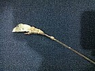 Chinese Qing Era gilt hairpin with the flora design jade