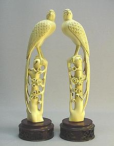 LATE 19TH CENTURY IVORY CARVINGS: A PAIR OF BIRDS