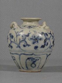 Ming Blue and White Jar