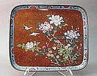 JAPANESE MEIJI PERIOD CLOISONNE PLATE