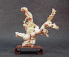 Chinese Carved Coral Dragon