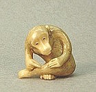 JAPANESE CARVED IVORY NETSUKE OF A MONKEY