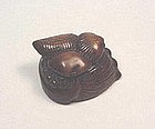 JAPANESE NETSUKE: OLD WOOD STUDY OF SHELLS