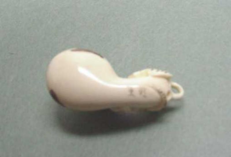 JAPANESE NETSUKE: IVORY GECKO ON GOURD