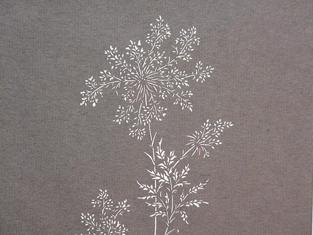 PAPER CUT-OUT OF QUEEN ANNE’S LACE