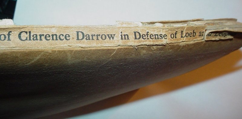 Plea of Clarence Darrow Aug.22-25, 1924