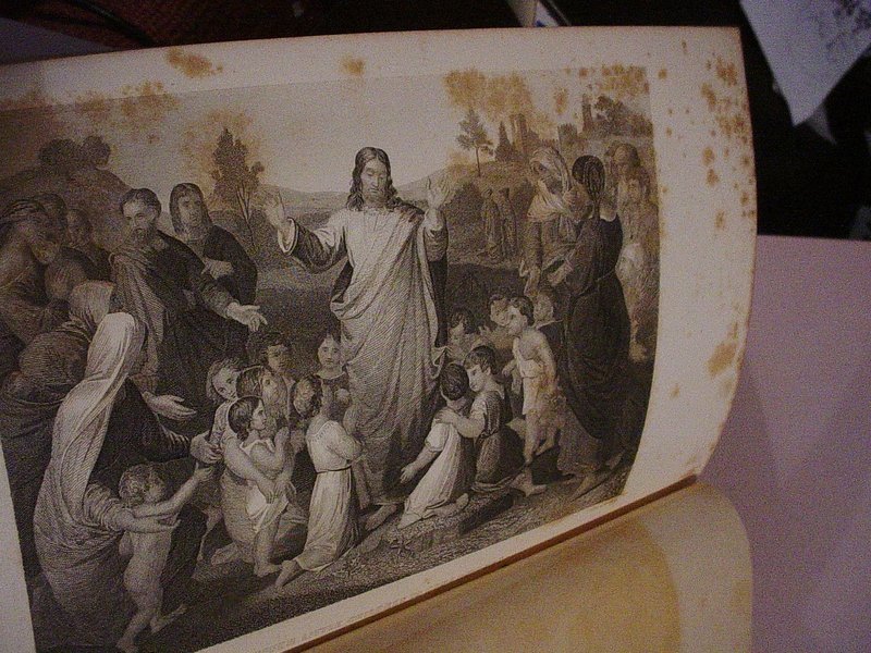 Young People's Illustrated Bible History...1879 Engravings+Maps