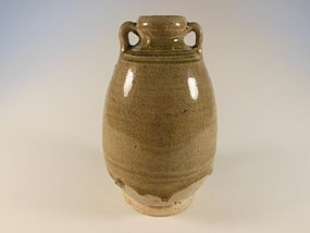 Sawankhalok Bottle