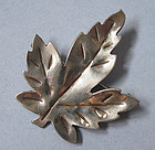 Canadian Sterling Leaf Pin