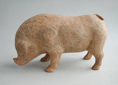 Large Chinese Eastern Han Dynasty Pottery Pig / Boar (AD 25 - 220