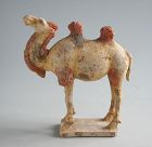 Chinese Tang Dynasty Painted Pottery Camel