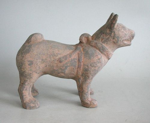 Chinese Han Dynasty Pottery Dog (206 BC - AD 220)