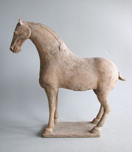 Large Chinese Early Tang Dynasty Pottery Horse + Oxford TL Test