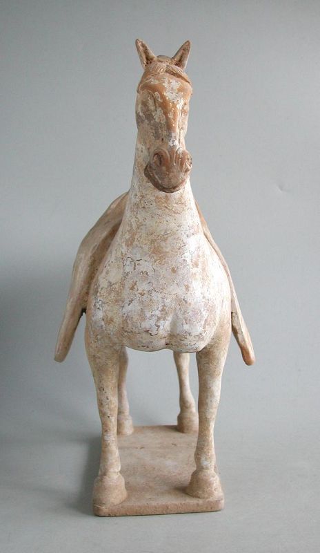 Large Chinese Northern Wei Dynasty Pottery Horse + Oxford TL Test