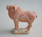 Chinese Tang Dynasty Painted Pottery Ox / Bull
