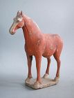 Chinese Tang Dynasty Painted Pottery Horse (AD 618 - 906) SALE