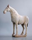 Chinese Tang Dynasty Painted Pottery Horse (AD 618 - 906) SALE