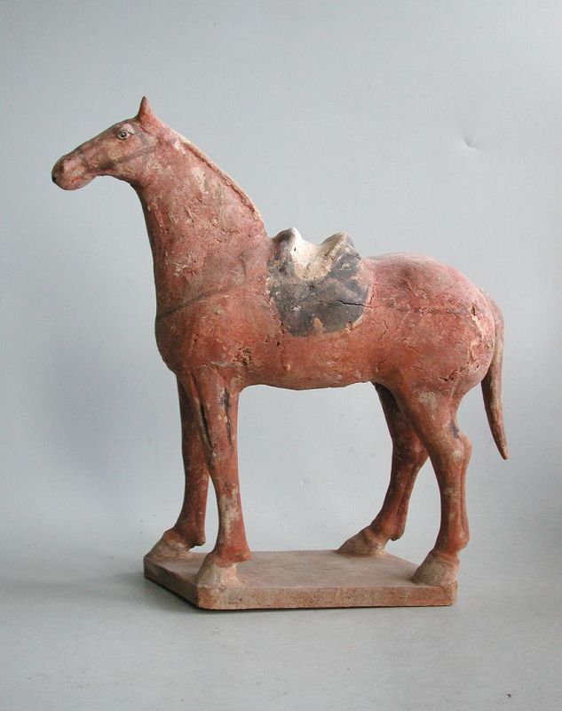 Chinese Tang Dynasty Painted Pottery Saddled Horse