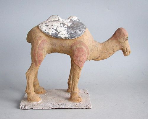 Rare Chinese Northern Dynasties Painted Pottery Camel (AD386-581)