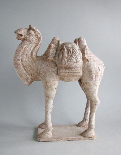 Fine Chinese Tang Dynasty Painted Pottery Camel with Oxford TL Test