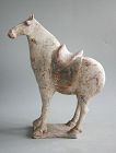 Chinese Tang Dynasty Painted Pottery Saddled Horse (35 cm)