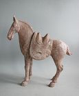 Fine Large Tang Dynasty Painted Pottery Horse & Separate Saddle + TL