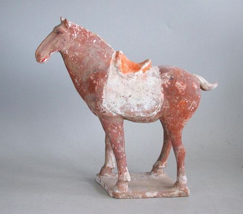Chinese Tang Dynasty Painted Pottery Saddled Walking Horse