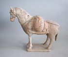 Rare Chinese Northern Wei Dynasty Pack Horse (AD 386 - 534)