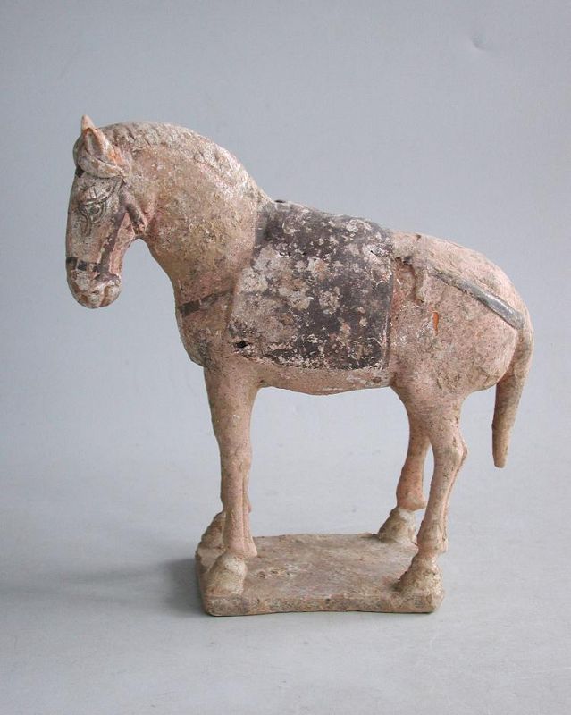 Chinese Early Tang Dynasty Painted Pottery Horse / Pony