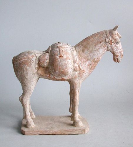 Rare Chinese Northern Wei Dynasty Pack Horse (AD 386 - 534)