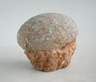 GENUINE Dinosaur Egg Fossil - Hadrosaur