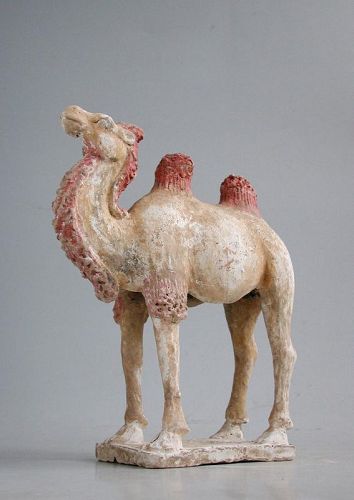 Chinese Tang Dynasty Painted Pottery Camel