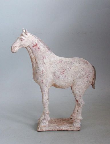Fine Chinese Tang Dynasty Painted Pottery Horse (AD 618 - 906)