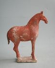 Chinese Tang Dynasty Painted Pottery Horse (AD 618 - 906)