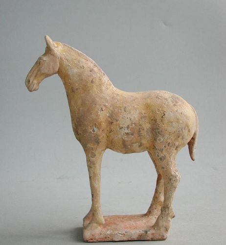 Chinese Tang Dynasty Painted Pottery Horse (AD 618 - 906)