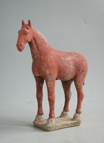Chinese Tang Dynasty Painted Pottery Horse (AD 618 - 906)
