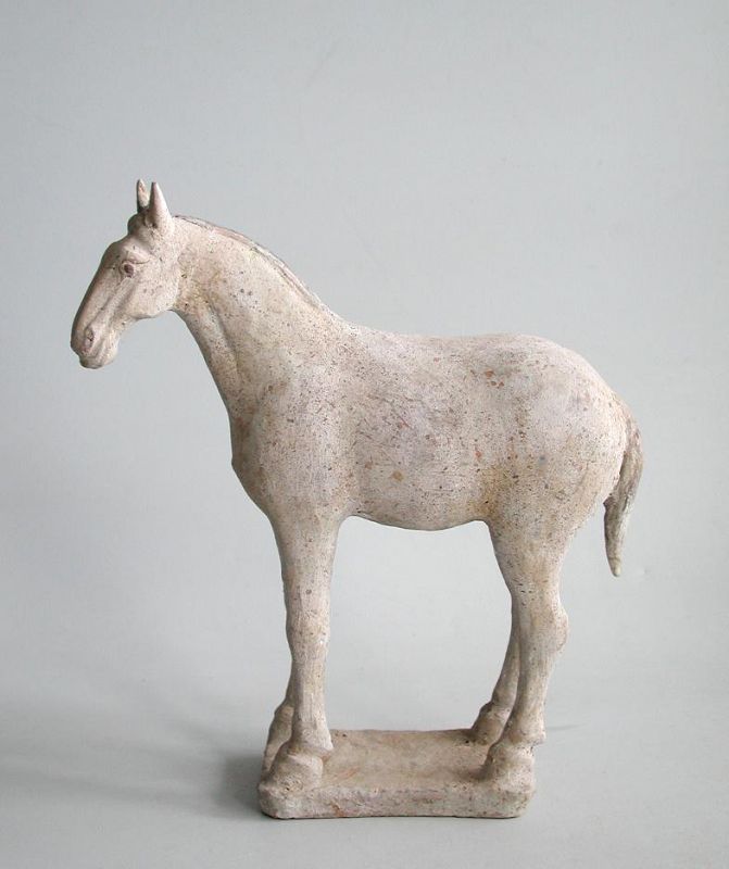 Chinese Tang Dynasty Painted Pottery Horse (AD 618 - 906)