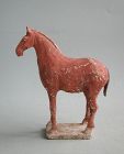 Chinese Tang Dynasty Painted Pottery Horse (AD 618 - 906)