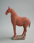 Chinese Tang Dynasty Painted Pottery Horse (AD 618 - 906)