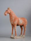 Chinese Tang Dynasty Painted Pottery Horse (AD 618 - 906)