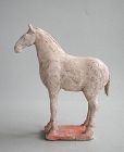 Chinese Tang Dynasty Painted Pottery Horse (AD 618 - 906)