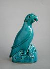 Chinese Qing Dynasty Turquoise Glazed Porcelain Parrot