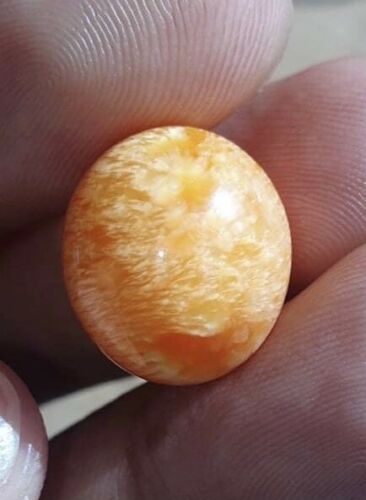 Magnificent Melo Pearl 26.01ct GIA