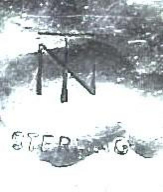 STERLING SEAHORSE PIN/EARRINGS by TN - c.1920