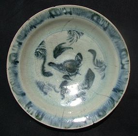 Early Ming Blue and White Dish
